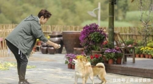 村里|《向往》再现穿帮镜头!黄磊发现村里小卖部,货架商品却露馅了!