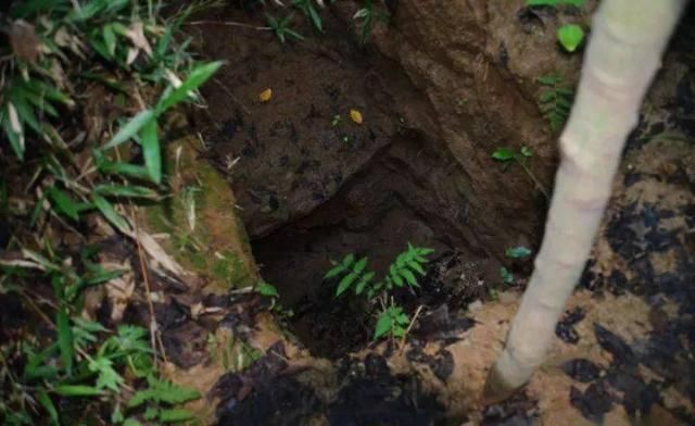 风林|风林：被盗的黄丕烈墓