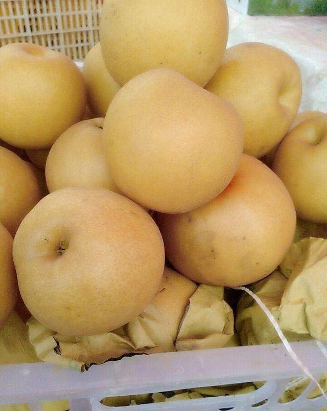 枞菇|农村秋季美食正当时，错过又要等一年！吃货的福利来了