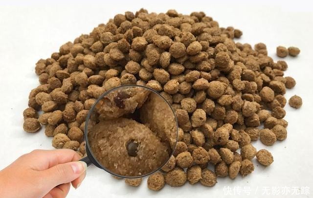 饲养|犬界最“危险”的5大狗狗,泰迪也在其中,一般不建议饲养