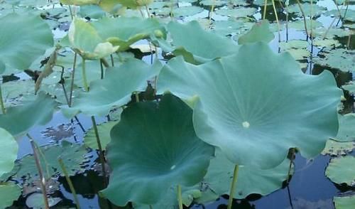  块链技术|注入司法“活水”：区块链电子取证“波光潋滟”