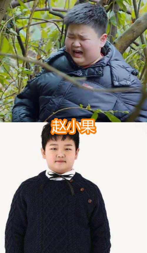  拍戏|变形计主人公都咋样了？巨婴成设计师，杨桐成团出道，最后的他拍戏不断！