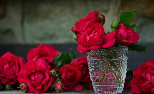  属猴的女生|近期，感情运势提升，爱情说来就来，收获爱情，注定脱单的四生肖