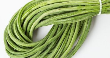  农民|2020年种豆角，这三种害虫别不重视，及时做好2点豆角结荚又高产