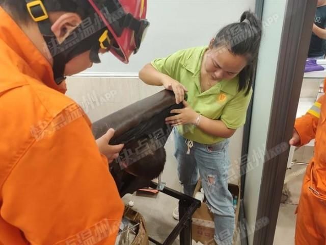  成功|熊孩子头卡按摩床 永嘉消防紧急出动成功解救