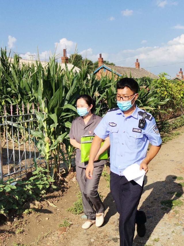 当事人|夏日里的“司法绿荫”