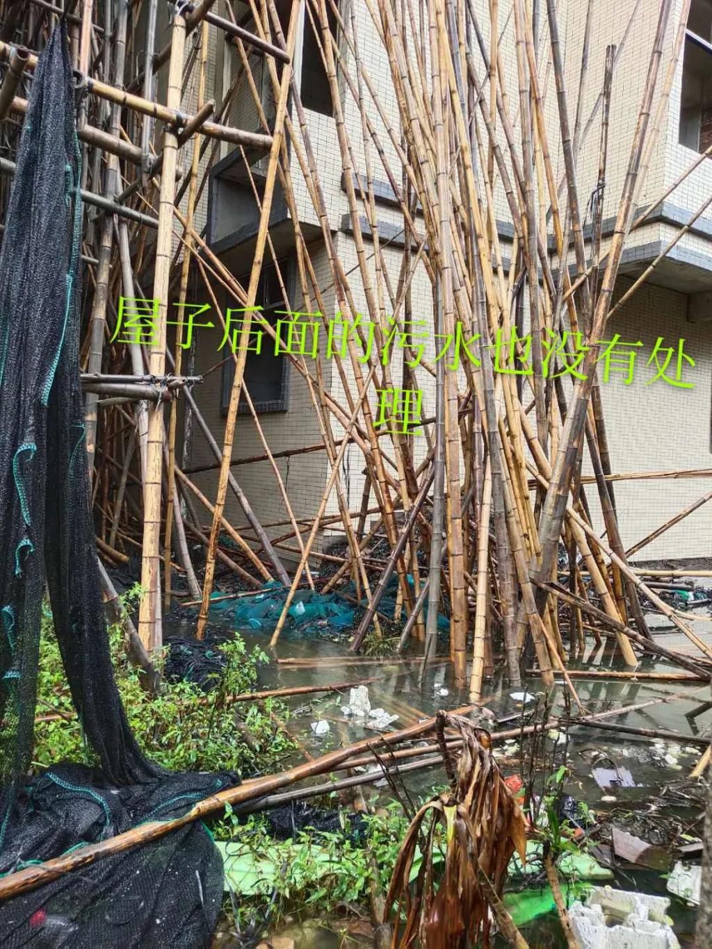  下山|潮汕某下山虎内，张小姐报警了