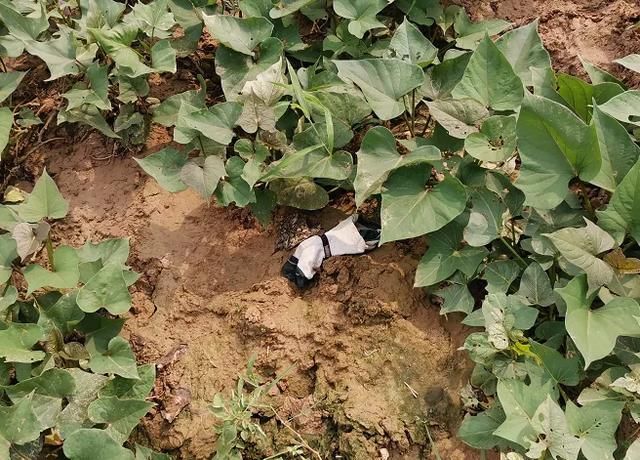  电动车|悲剧！3男孩野游溺亡，其中一孩子下水前打电话：他俩在水里扑腾，我去救