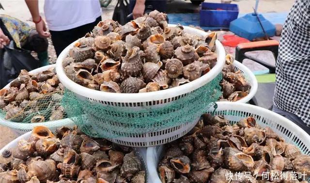 烤地瓜|秋天,你看起来真的很好吃!