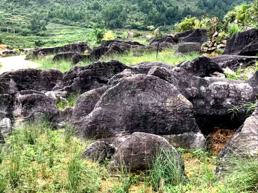  微生物|叠层石：地球上最古老的生物化石，居然还有活的