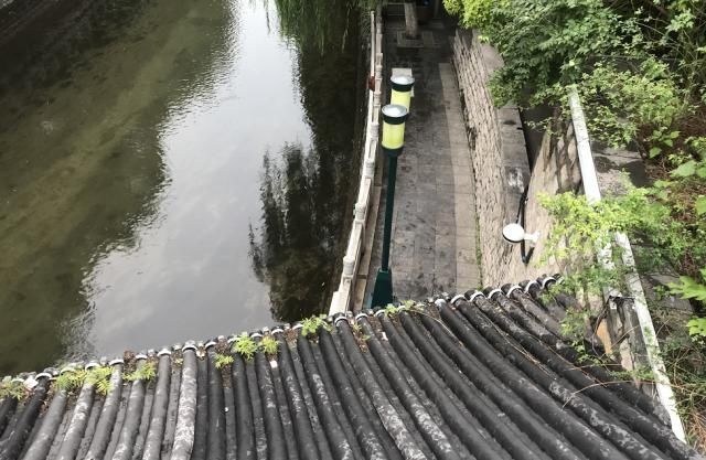  发现|突发！济南青龙桥下发现一男性死者