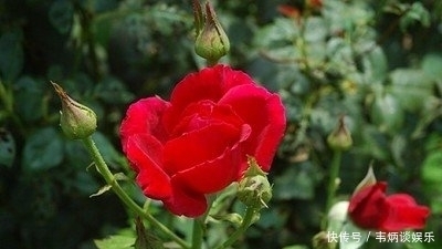  财气|大喜天降！下周开始喜鹊送喜报，财气入命来，强势逆袭的3生肖