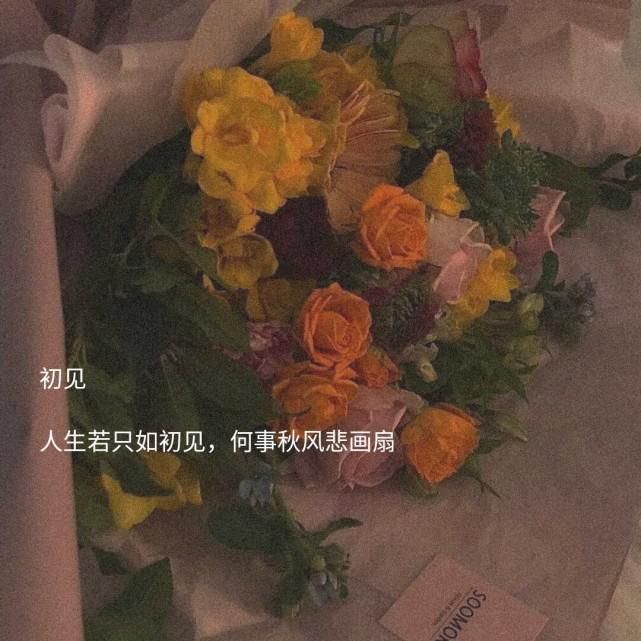  顺风|具有寓意的古风网名·小众文案:说不定随心所欲的生活更顺风顺水呢