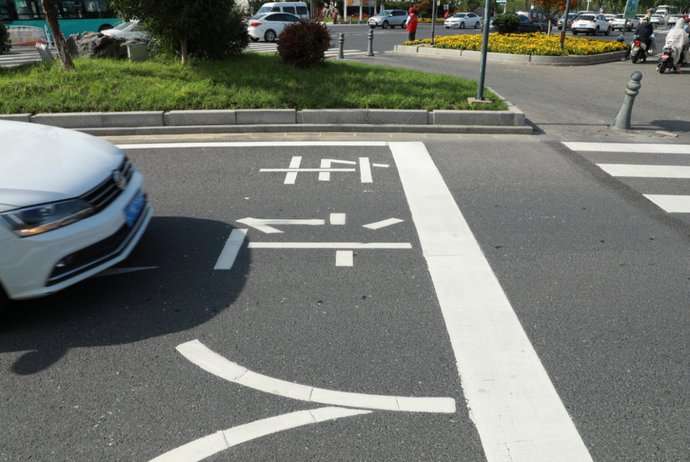 斑马线|“刷新”斑马线！守护“黑白线”上的多彩生命！