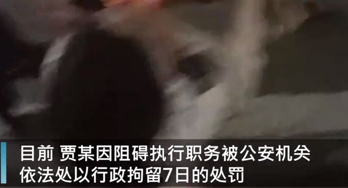 公交|女子带狗乘公交被拒后咬伤民警，已被行拘