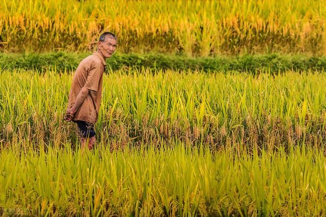 光棍|再过10年、20年,农村光棍将以“富贵的方式”消失