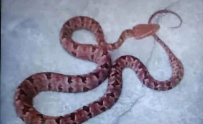  急诊|紧急提醒！醴陵急诊一个月接诊20多例，最近要格外注意