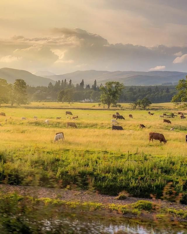 夜话|夜话丨杨绛：有什么好？——读奥斯汀的《傲慢与偏见》