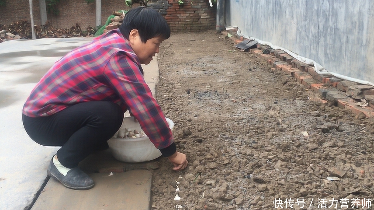 多名百岁老人的调查结果，长寿之人共同特点，不是运动而是这2点2023