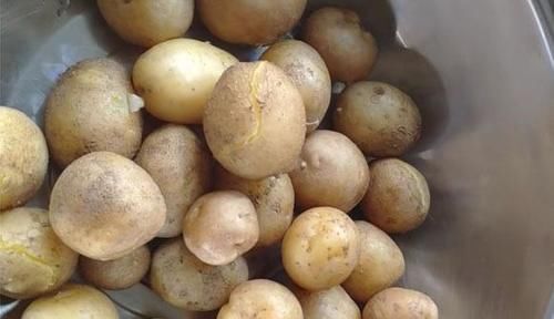 冬季|秋季,这菜正上市,才2毛多钱1斤,多买些一蒸一晒,冬季炒肉最香