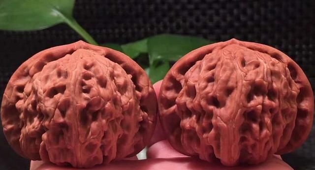  满天星核桃|天热就多盘满天星，越冷就要多盘白狮子