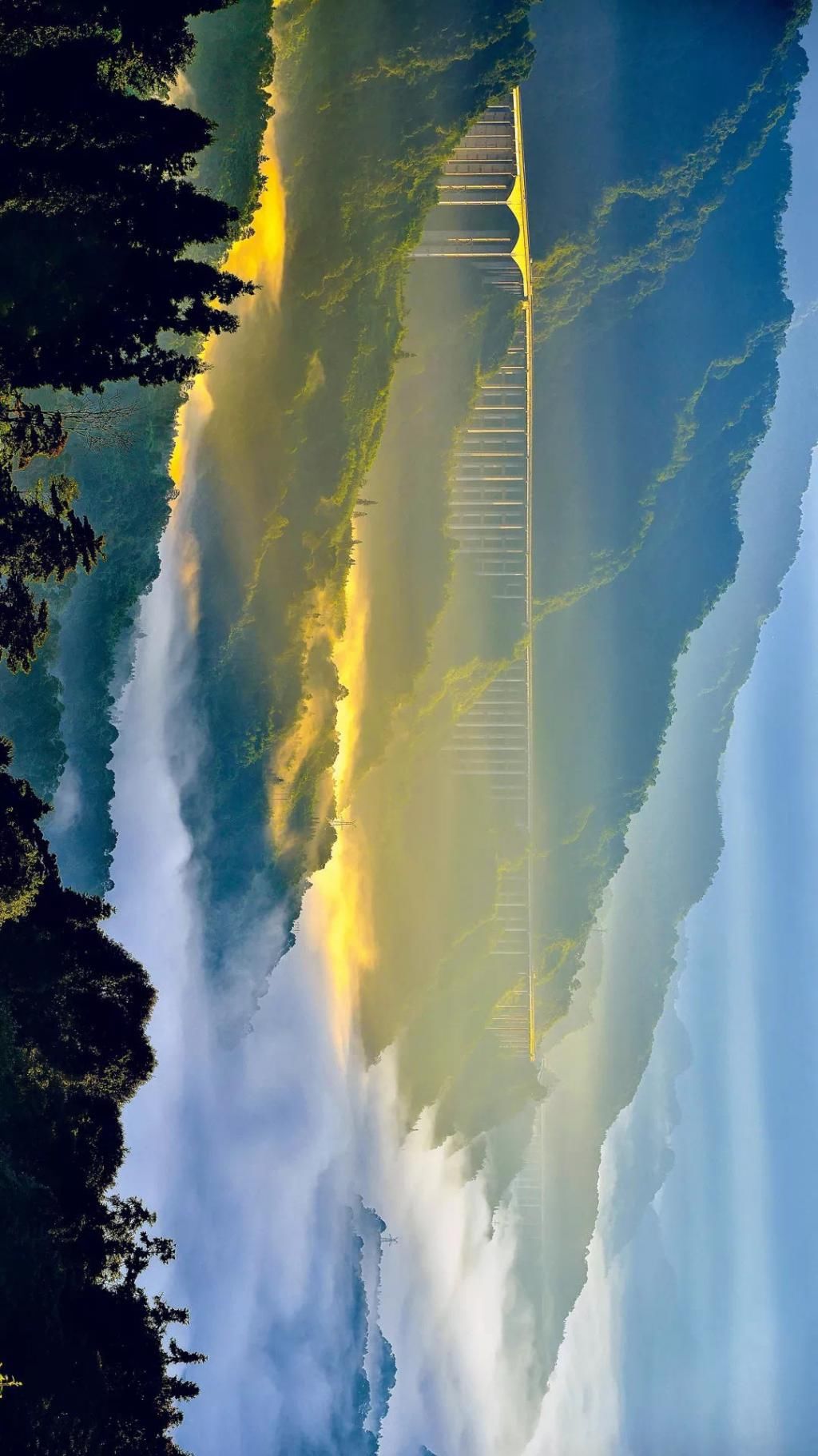  瞒不住|完了！雅安遍地大熊猫的事瞒不住了