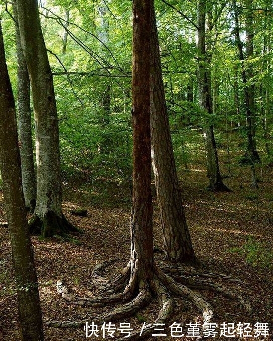 发型|趣味图片幽默段子笑话:大姐你的发型严重影响后面同学的学习呢