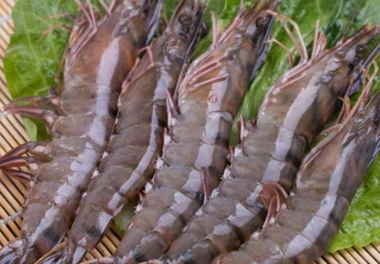 营养成分|吃虾你还在用水煮？老渔民教你3招，营养成分不流失，特简单！