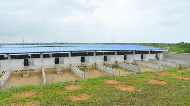 驱蚊|亲爱的养殖人,三伏天养殖场驱蚊防蝇迫在眉睫,两步法效果好得很