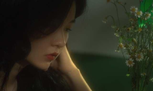  飞花|诗词丨时见飞花飘牧野，也添柴火煨红炉