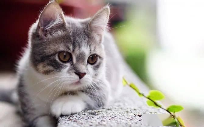 生活|12条搞笑段子，给生活减减压……