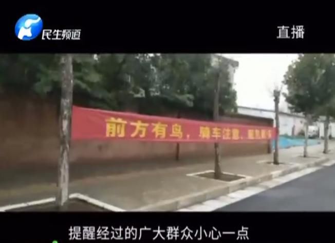  市民|愤怒的小鸟，只啄黑衣男子！啥来头