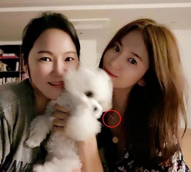  女方|世纪复合成真？宋慧乔玄彬被曝深夜约会，女方遛狗视频也有玄机