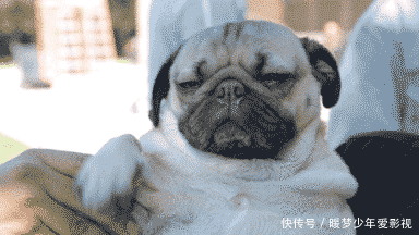 泡泡浴|“第一次在女友家洗泡泡浴,打开浴室门没想到...”画面太美不敢看,哈哈哈哈