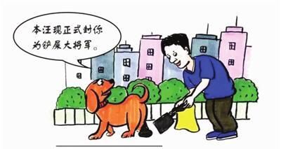 动物医院|严厉打击！我市3部门联合执法