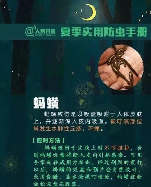  身上|当心！身上冒出这种“小黑点”别乱拔，已有多人送医！正处高发季