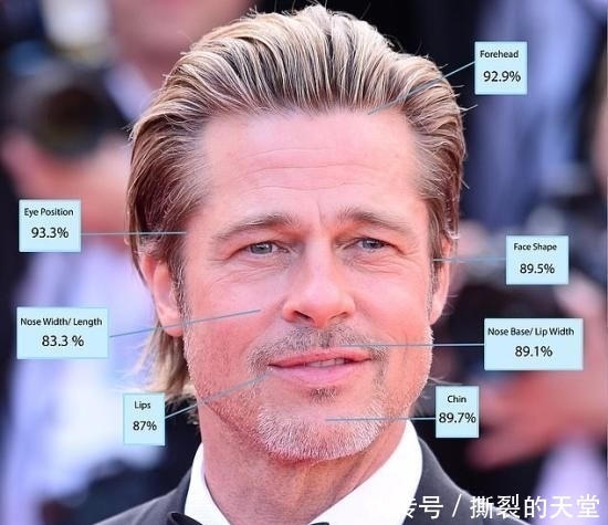 医生|整形医生科学认证地表最帅男星排行TOP10
