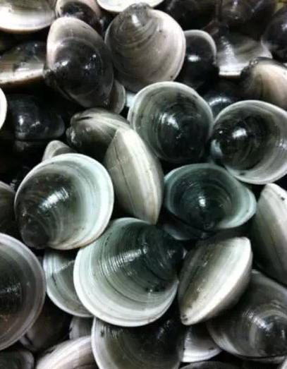 今日|今日开海!这84种海鲜,你都认识吗?你真的会吃海鲜吗?