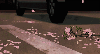 从来不|优秀的人，从来不会输给情绪