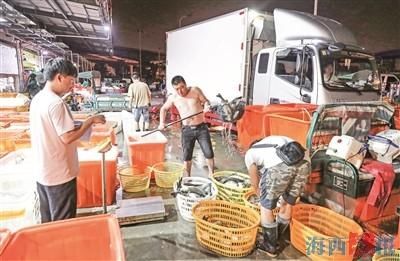  批发市场|日夜颠倒，他们为您精选鱼虾蟹贝