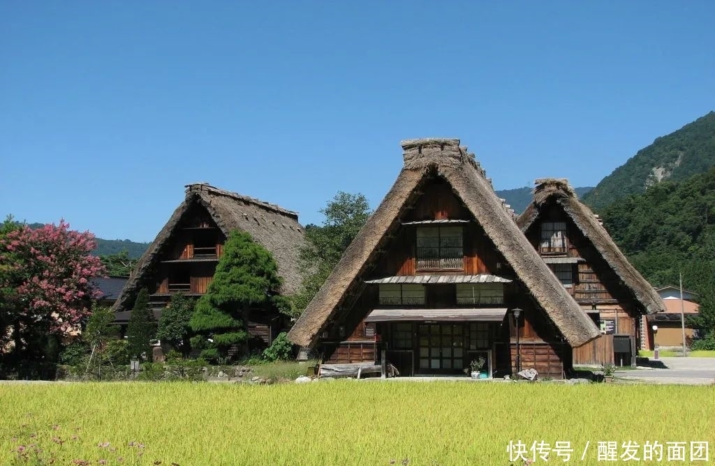 好吃|日本人的秋天限定美食,怎样最好吃?