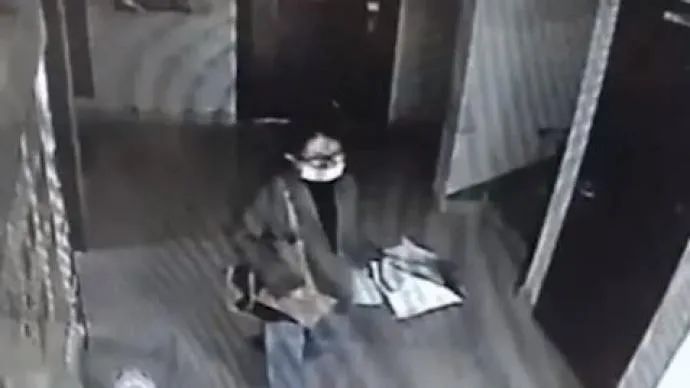 涉嫌故意杀|“南京失联女大学生遇害案”,4名犯罪嫌疑人被批捕