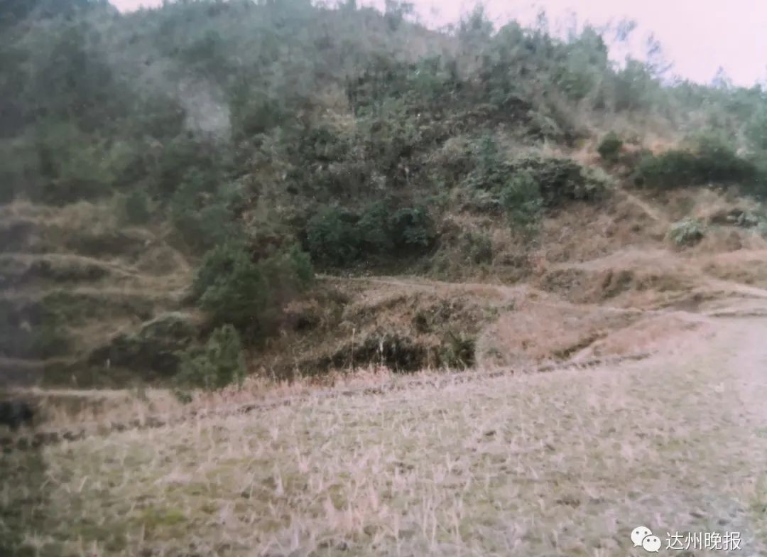 落网|15年前，66岁老妇上山砍柴被杀害，近日凶手落网