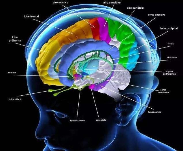 伤心难过|24岁跳江女子,真的是因感情问题而轻生?