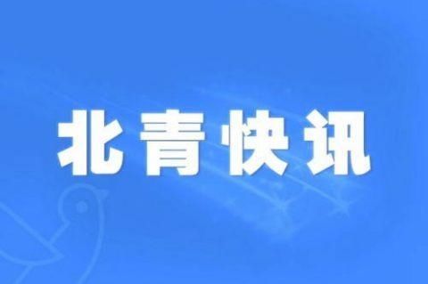  警探|警探号丨鱼坑变垃圾坑 1个月倒了5231立方米垃圾