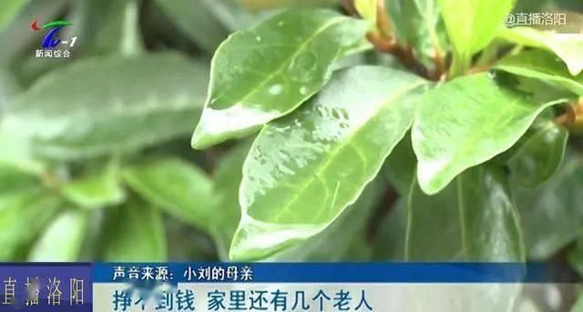 诈骗|软件上一字之差，姑娘背上近160万债务，民警：典型的诈骗手段