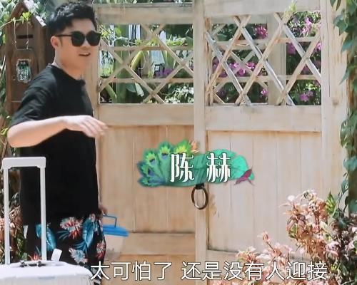 陈赫|向往迎来最不受待见嘉宾,进门没人欢迎,黄磊连饭都不给他吃