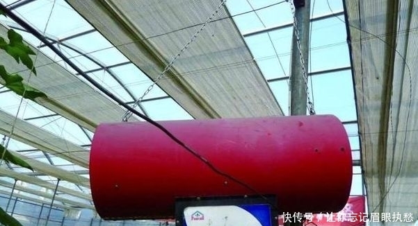 二氧化碳|黄瓜保护地种植,该如何增施“二氧化碳”?惠农为您解答