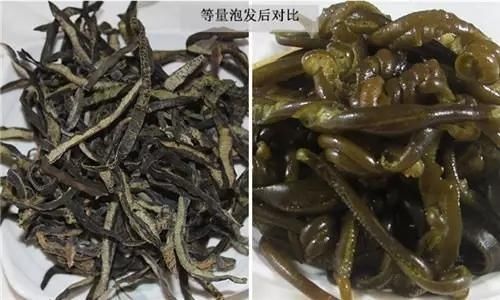 极少|这种深海“松茸”,产量极少,能买到的都是野生的