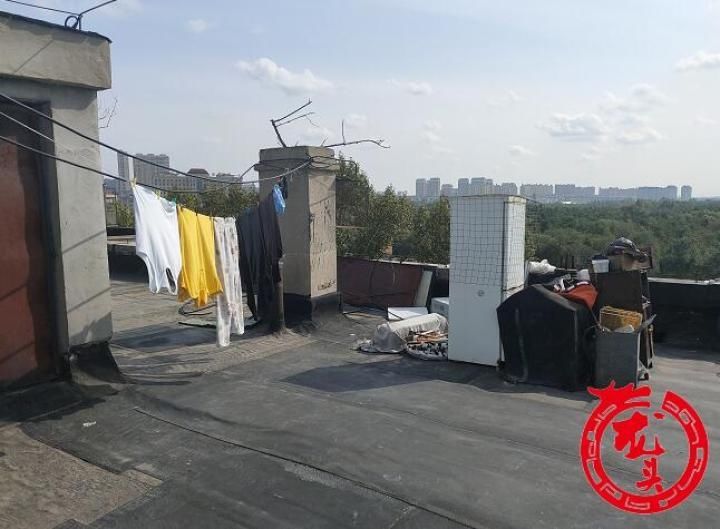 笼子|乐园街1-3号楼顶被鸡笼鸽笼霸占!居民家漏雨没法修